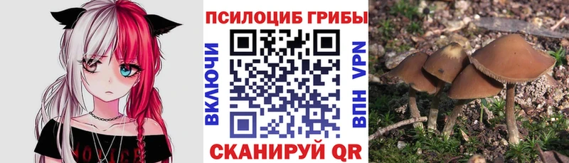 Галлюциногенные грибы прущие грибы  Опочка 